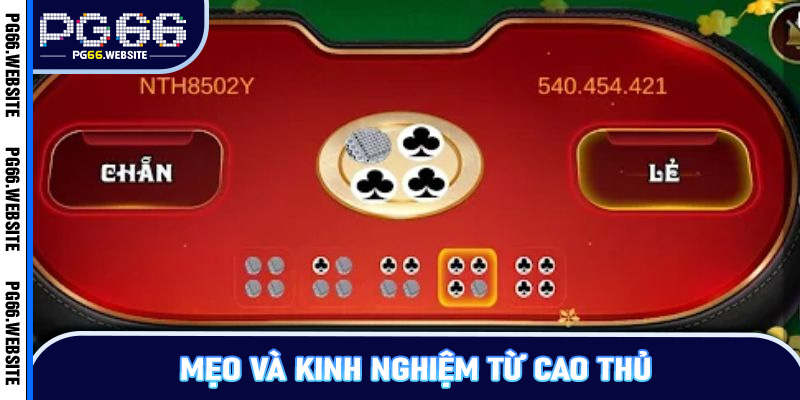 Mẹo và kinh nghiệm từ cao thủ
